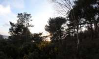 img_6575-8