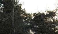 img_6598-9